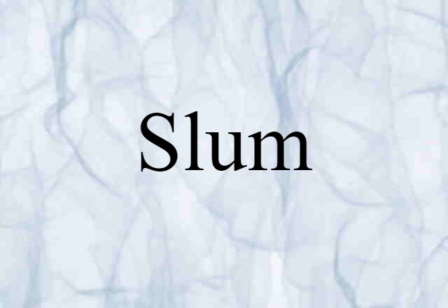 Slum (noun) Definition, Meaning & Examples