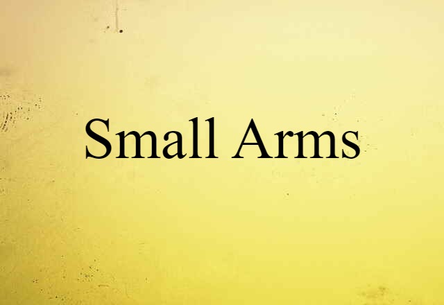 Small Arms (noun) Definition, Meaning & Examples