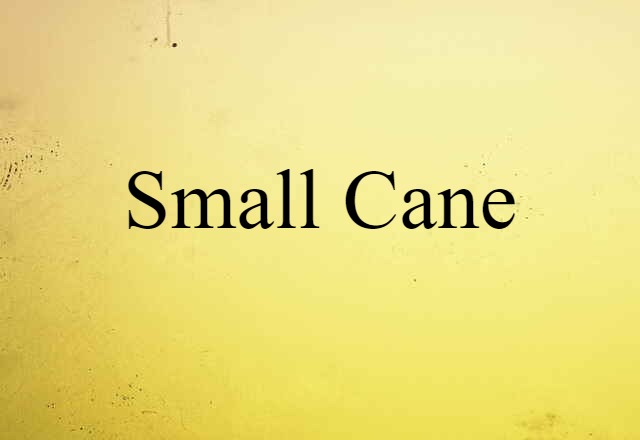 small cane