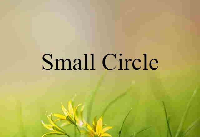 Small Circle (noun) Definition, Meaning & Examples