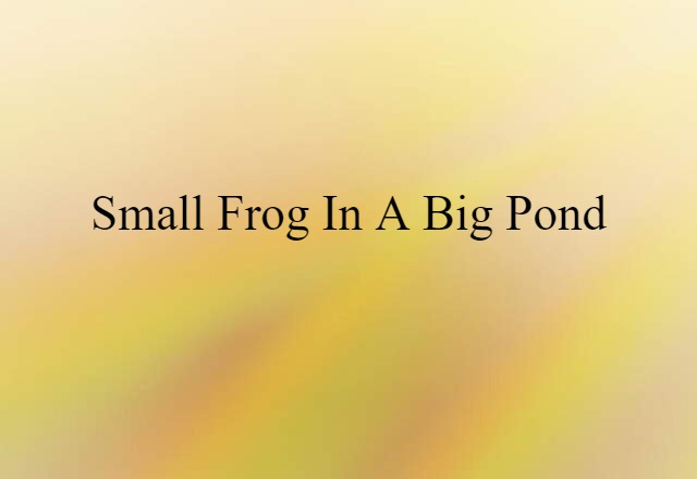 small frog in a big pond