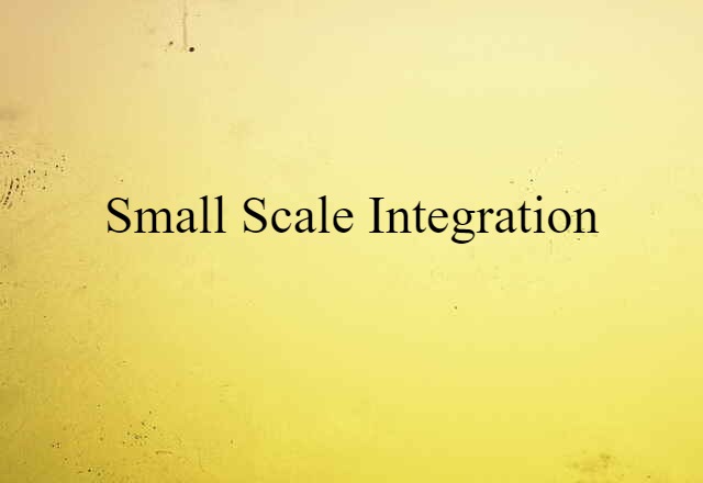 Small Scale Integration (noun) Definition, Meaning & Examples