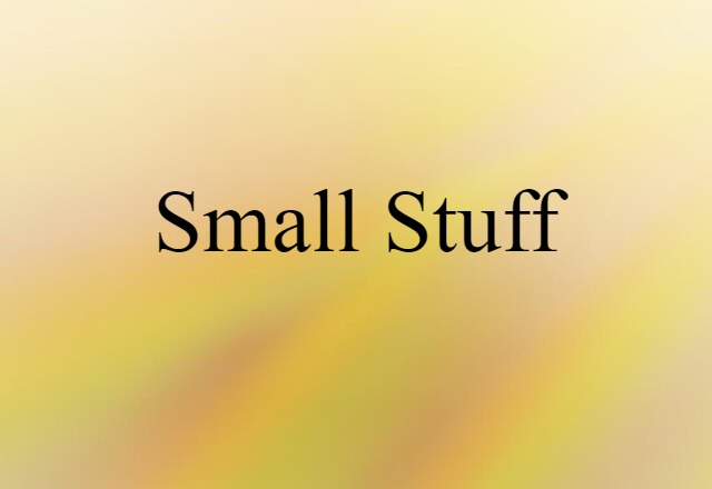 Small Stuff (noun) Definition, Meaning & Examples