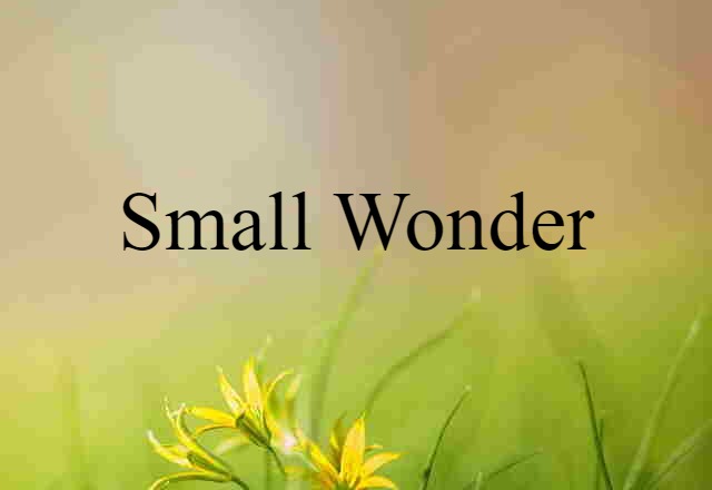 Small Wonder (noun) Definition, Meaning & Examples