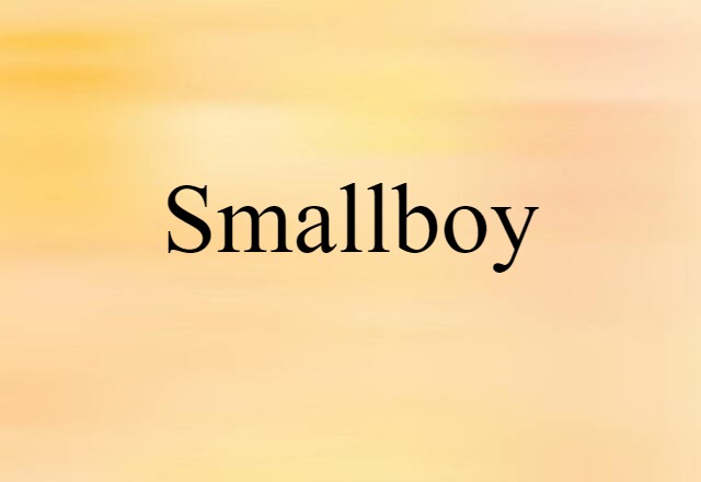 smallboy