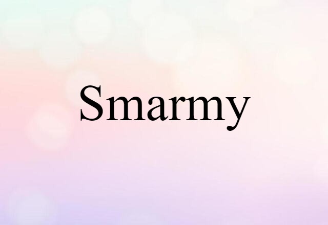 Smarmy (noun) Definition, Meaning & Examples