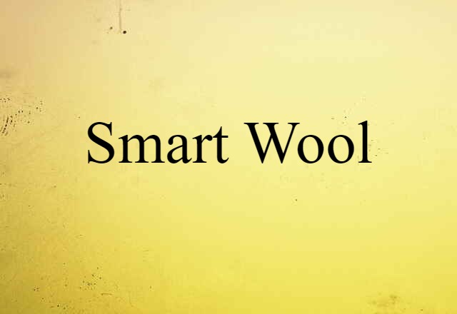 Smart Wool (noun) Definition, Meaning & Examples