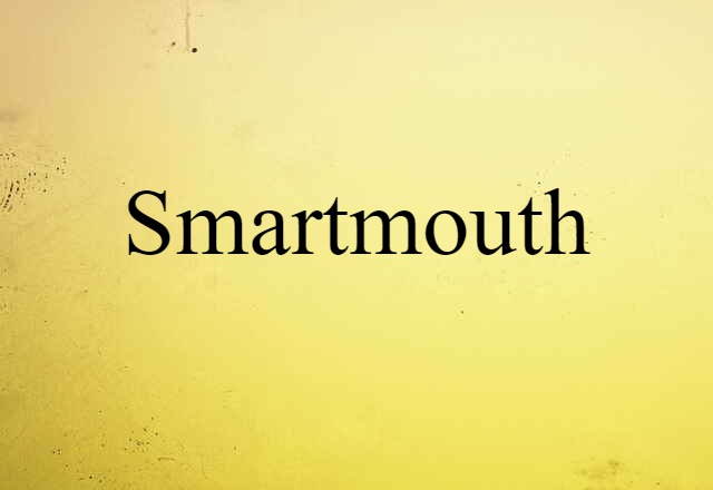 Smartmouth (noun) Definition, Meaning & Examples