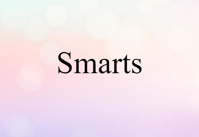 Smarts (noun) Definition, Meaning & Examples