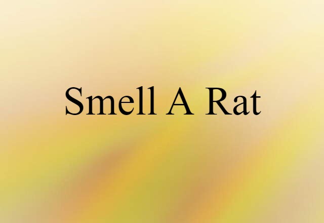 smell a rat