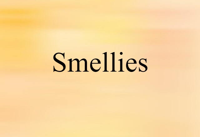 Smellies (noun) Definition, Meaning & Examples