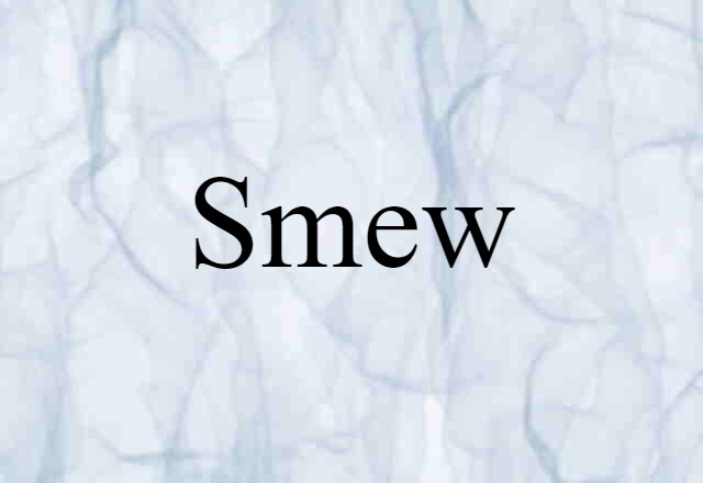 Smew (noun) Definition, Meaning & Examples