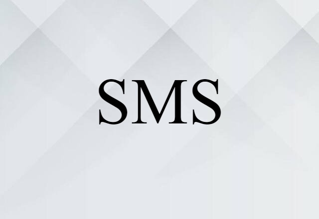 SMS (noun) Definition, Meaning & Examples