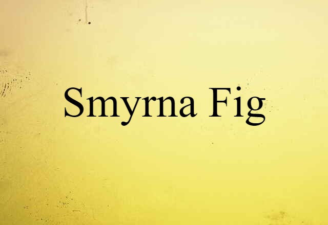 Smyrna Fig (noun) Definition, Meaning & Examples