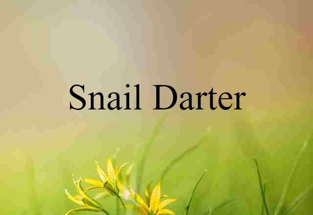 snail darter