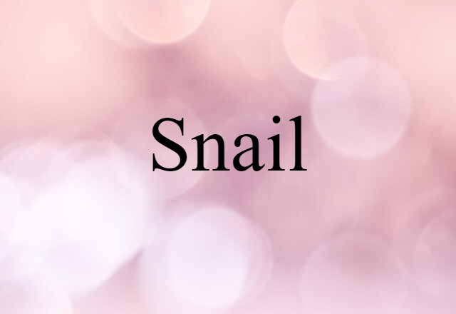 snail