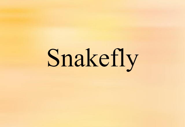 Snakefly (noun) Definition, Meaning & Examples