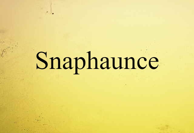 Snaphaunce (noun) Definition, Meaning & Examples