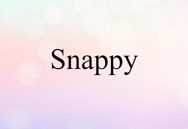 Snappy (noun) Definition, Meaning & Examples