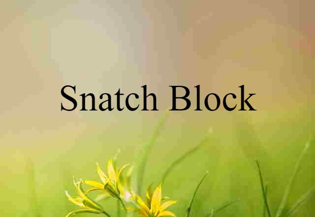 snatch block