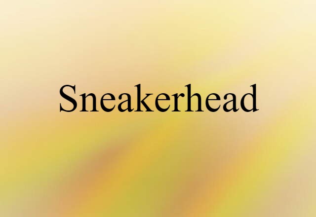 Sneakerhead (noun) Definition, Meaning & Examples