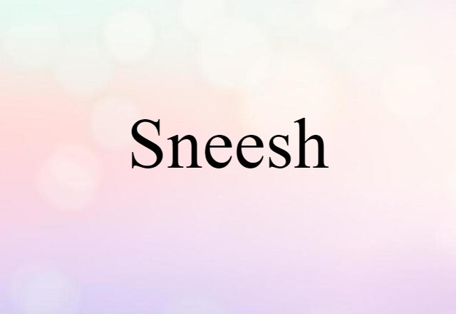 Sneesh (noun) Definition, Meaning & Examples