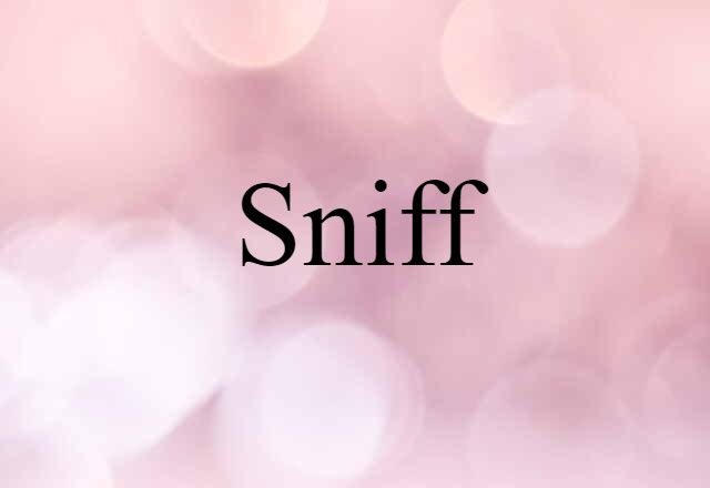 Sniff (noun) Definition, Meaning & Examples