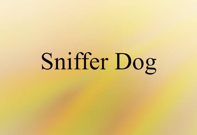 sniffer dog