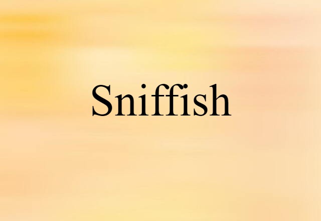 Sniffish (noun) Definition, Meaning & Examples