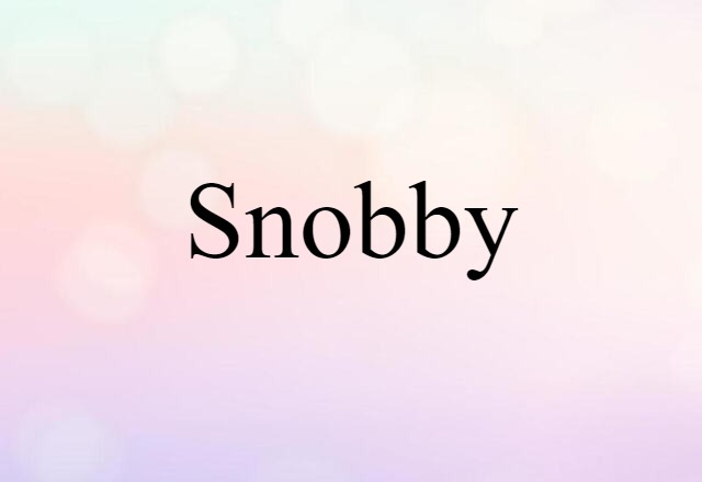 Snobby (noun) Definition, Meaning & Examples