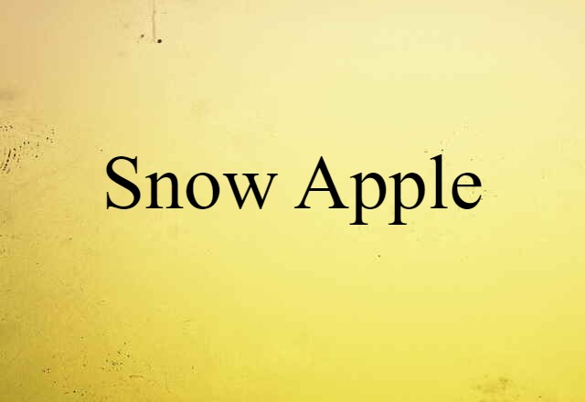 Snow Apple (noun) Definition, Meaning & Examples