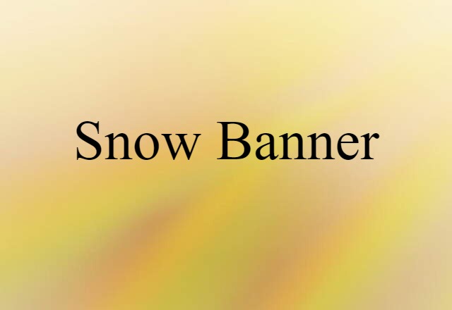 snow banner