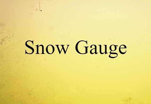 Snow Gauge (noun) Definition, Meaning & Examples