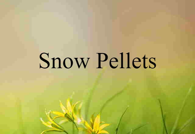 Snow Pellets (noun) Definition, Meaning & Examples