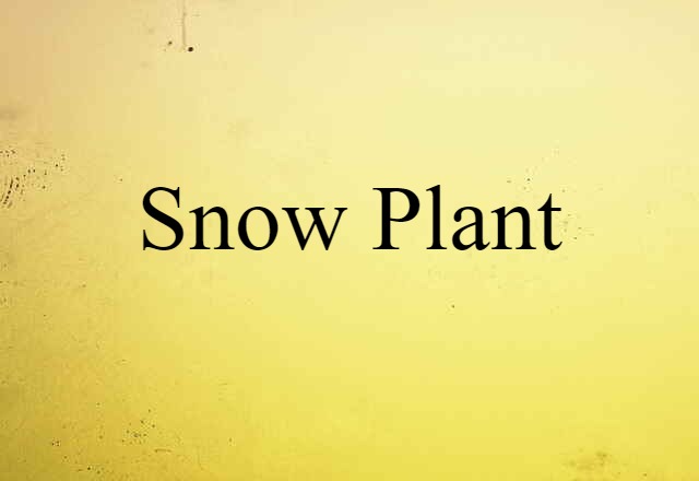 Snow Plant (noun) Definition, Meaning & Examples