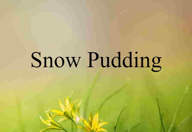 snow pudding