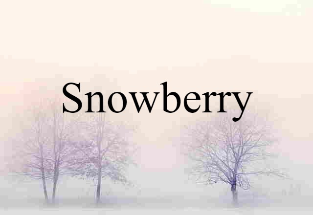 snowberry