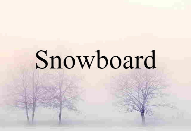 Snowboard (noun) Definition, Meaning & Examples