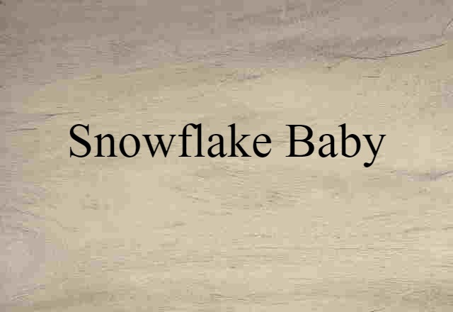 Snowflake Baby (noun) Definition, Meaning & Examples