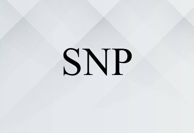 SNP (noun) Definition, Meaning & Examples