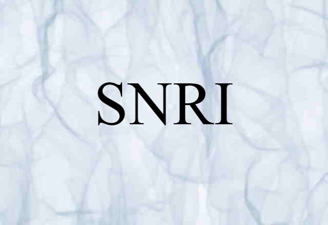 SNRI (noun) Definition, Meaning & Examples