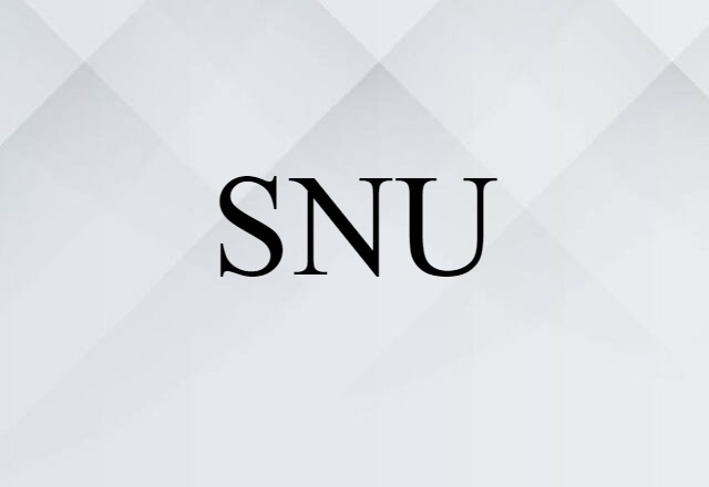 SNU (noun) Definition, Meaning & Examples