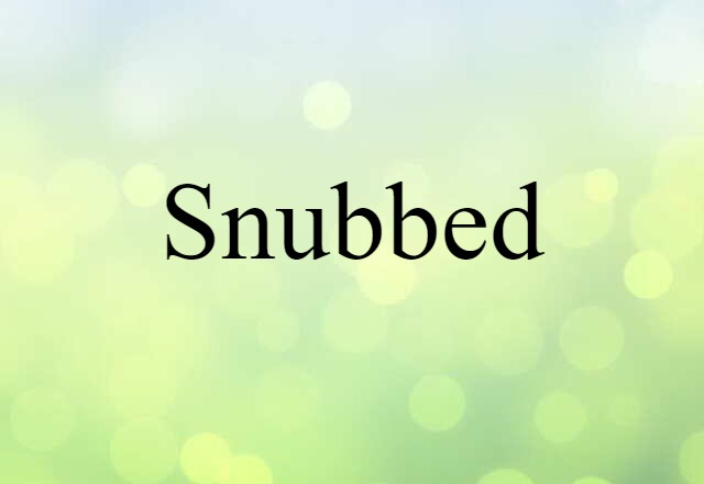 Snubbed (noun) Definition, Meaning & Examples