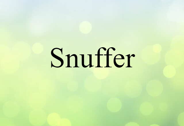 Snuffer (noun) Definition, Meaning & Examples