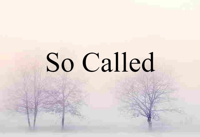 So-called (noun) Definition, Meaning & Examples