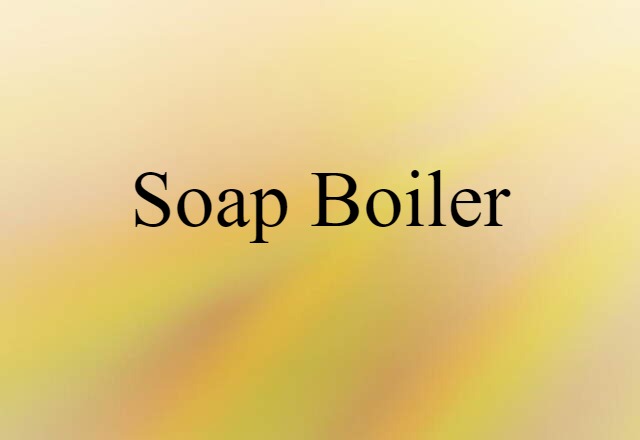 Soap Boiler (noun) Definition, Meaning & Examples