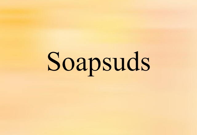 Soapsuds (noun) Definition, Meaning & Examples