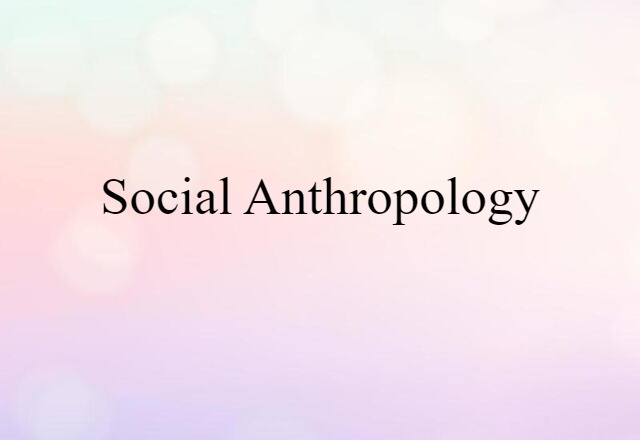 social anthropology