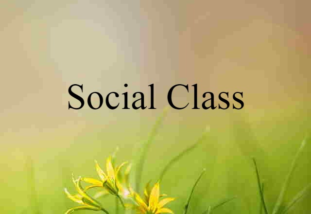 social class