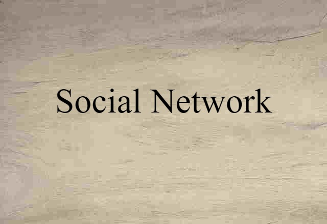 Social Network (noun) Definition, Meaning & Examples